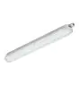 Philips Stagna LED CoreLine WT120C 44W 6000lm - 840 Bianco Freddo | 150cm 