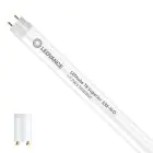 Ledvance Tubo LED T8 Superior (EM/Mains) High Output 17.7W 3100lm - 865 Luce Del Giorno | 150cm - Sostitutiva 58W